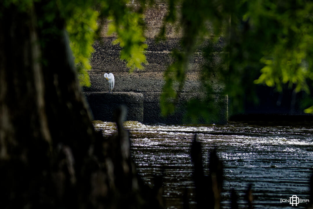 Albany, GA - Lake Worth Dam