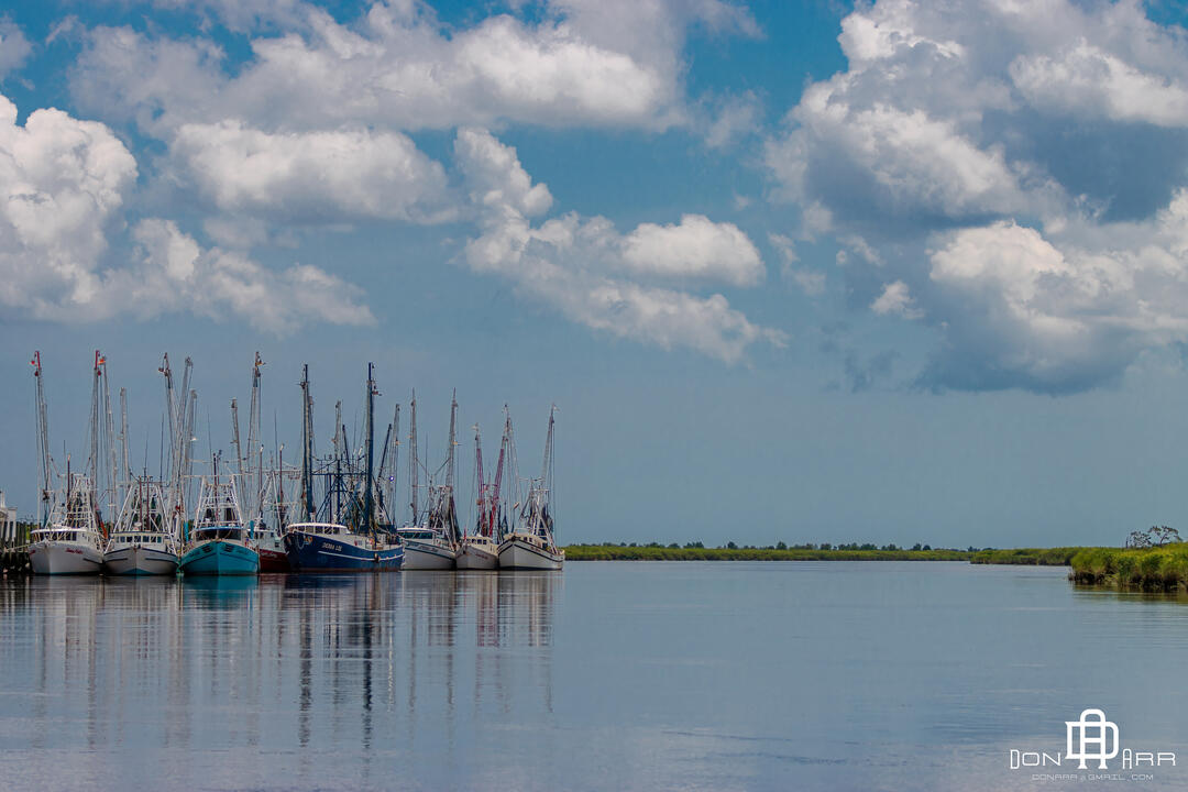 Darien, GA - Downtown Dock